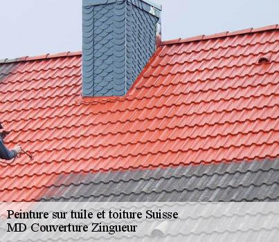 Peinture sur tuile et toiture LE Suisse MD Couverture Zingueur