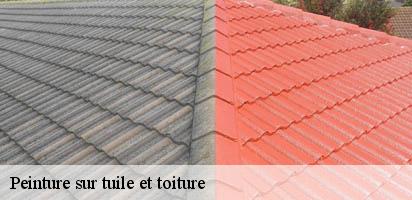 Peinture sur tuile et toiture LE Suisse MD Couverture Zingueur