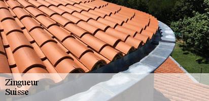 Zingueur LE Suisse MD Couverture Zingueur