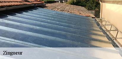 Zingueur LE Suisse MD Couverture Zingueur