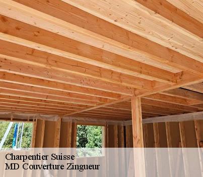 Charpentier LE Suisse MD Couverture Zingueur