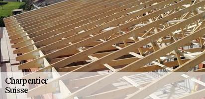 Charpentier LE Suisse MD Couverture Zingueur