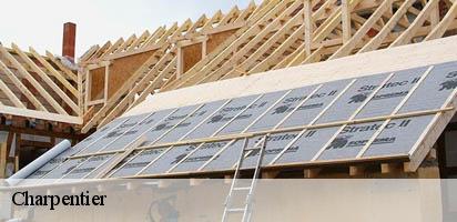 Charpentier LE Suisse MD Couverture Zingueur