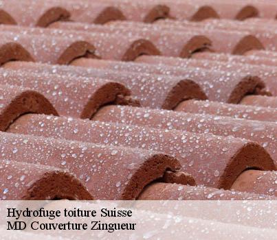 Hydrofuge toiture LE Suisse MD Couverture Zingueur