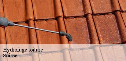 Hydrofuge toiture LE Suisse MD Couverture Zingueur