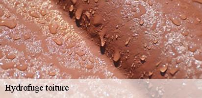 Hydrofuge toiture LE Suisse MD Couverture Zingueur