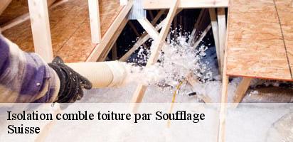 Isolation comble toiture par Soufflage LE Suisse MD Couverture Zingueur