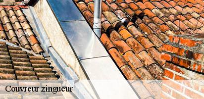 Couvreur zingueur LE Suisse MD Couverture Zingueur