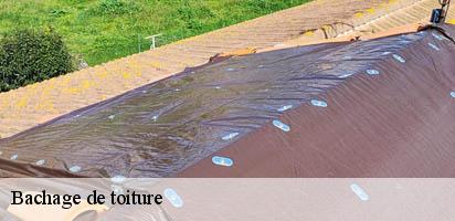 Bachage de toiture LE Suisse MD Couverture Zingueur