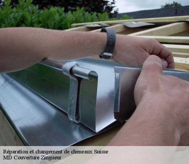 Réparation et changement de cheneaux LE Suisse MD Couverture Zingueur