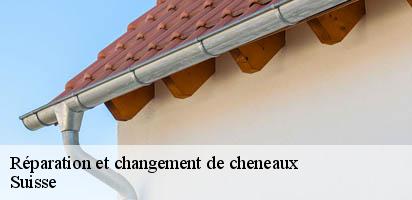 Réparation et changement de cheneaux LE Suisse MD Couverture Zingueur