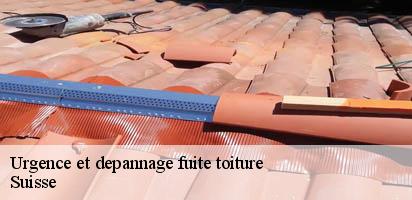 Urgence et depannage fuite toiture LE Suisse MD Couverture Zingueur