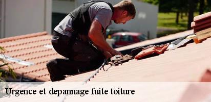 Urgence et depannage fuite toiture LE Suisse MD Couverture Zingueur