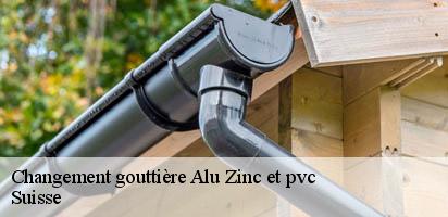 changement-gouttiere-alu-zinc-et-pvc