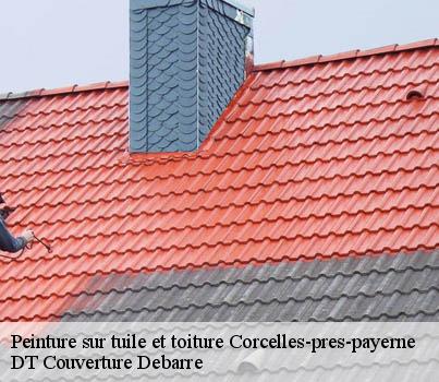 peinture-sur-tuile-et-toiture