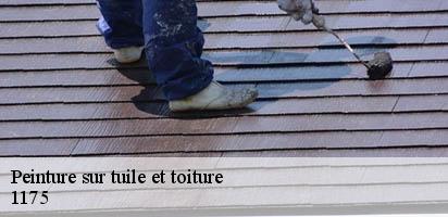 peinture-sur-tuile-et-toiture