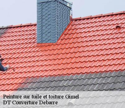 peinture-sur-tuile-et-toiture