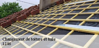 changement-de-toiture-et-tuile