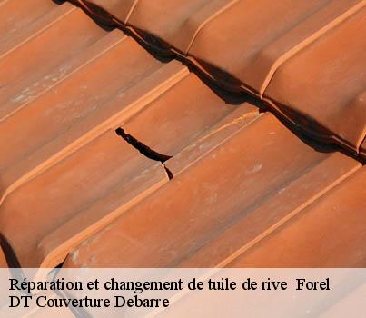 reparation-et-changement-de-tuile-de-rive