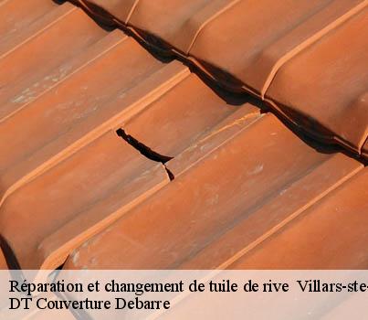 reparation-et-changement-de-tuile-de-rive