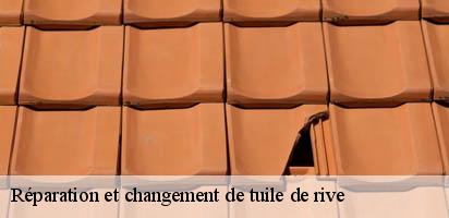 reparation-et-changement-de-tuile-de-rive