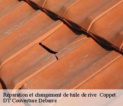 reparation-et-changement-de-tuile-de-rive