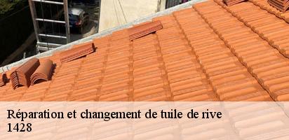 reparation-et-changement-de-tuile-de-rive