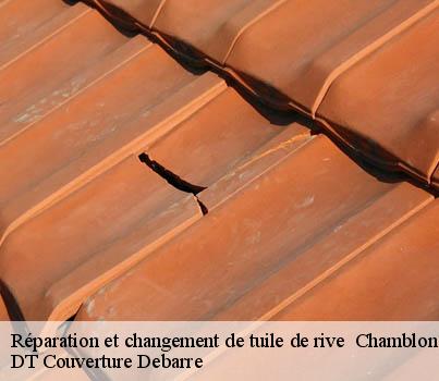 reparation-et-changement-de-tuile-de-rive