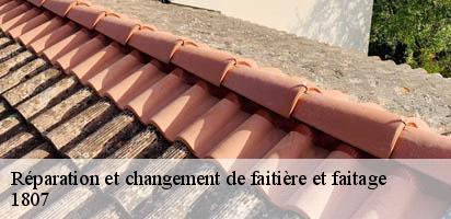 reparation-et-changement-de-faitiere-et-faitage