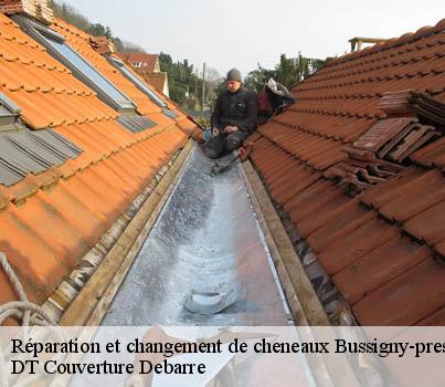 reparation-et-changement-de-cheneaux