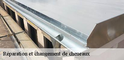 reparation-et-changement-de-cheneaux