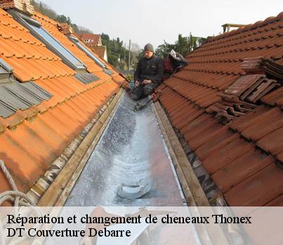 reparation-et-changement-de-cheneaux