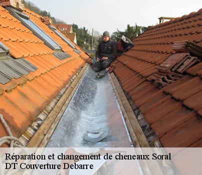 reparation-et-changement-de-cheneaux