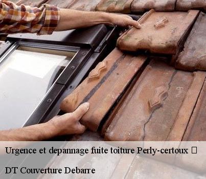 urgence-et-depannage-fuite-toiture