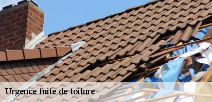 urgence-fuite-de-toiture