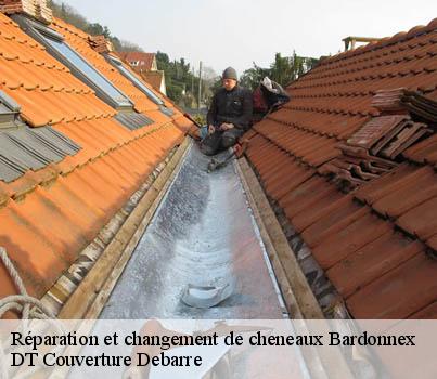 reparation-et-changement-de-cheneaux