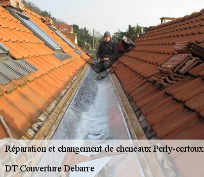 reparation-et-changement-de-cheneaux