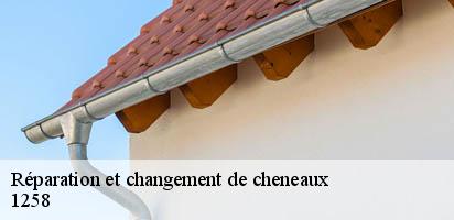 reparation-et-changement-de-cheneaux